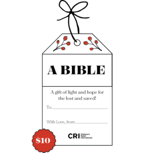 1 Bible Stocking Stuffer